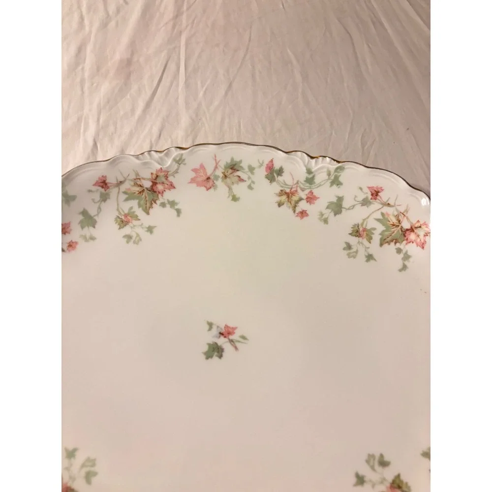 Hutschenreuther Selb Platters Set 2 White Pink Floral Bavaria US Zone Good 15in